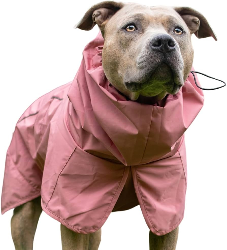 Spark Paws Dog Raincoat, Waterproof Windproof Rain Jacket, for Small Medium Large Extra Large Dog... | Amazon (US)