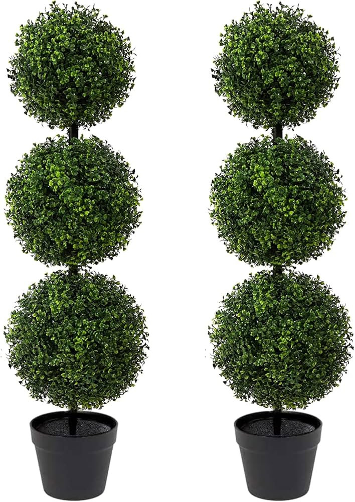 #icp-touch-link-language { display: none; }




  English




          
          

#icp-touch-l... | Amazon (CA)