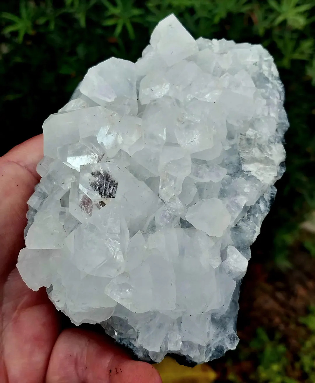 Large Diamond Apophyllite Specimen! White Apophyllite. Clear Apophyllite. Druzy Apophyllite. Zeol... | Etsy (US)