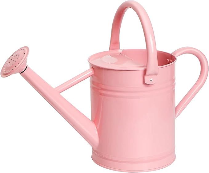Joequality Watering Can for Outdoor&Indoor Plants，1 Gallon Metal Plant Watering Can with Detach... | Amazon (US)