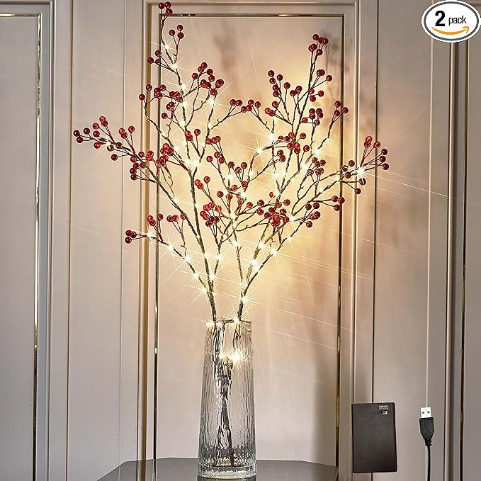 Hairui Red Berry Branches with Lights 32IN Battery Operated and USB Plug in, Lighted Willow Branc... | Amazon (US)