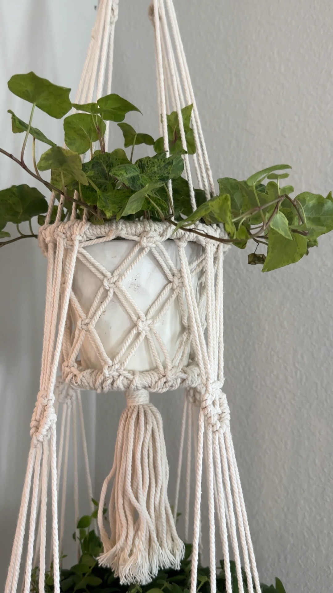 Such a cute macrame pot hanger 

#LTKFindsUnder50 #LTKSeasonal #LTKHome