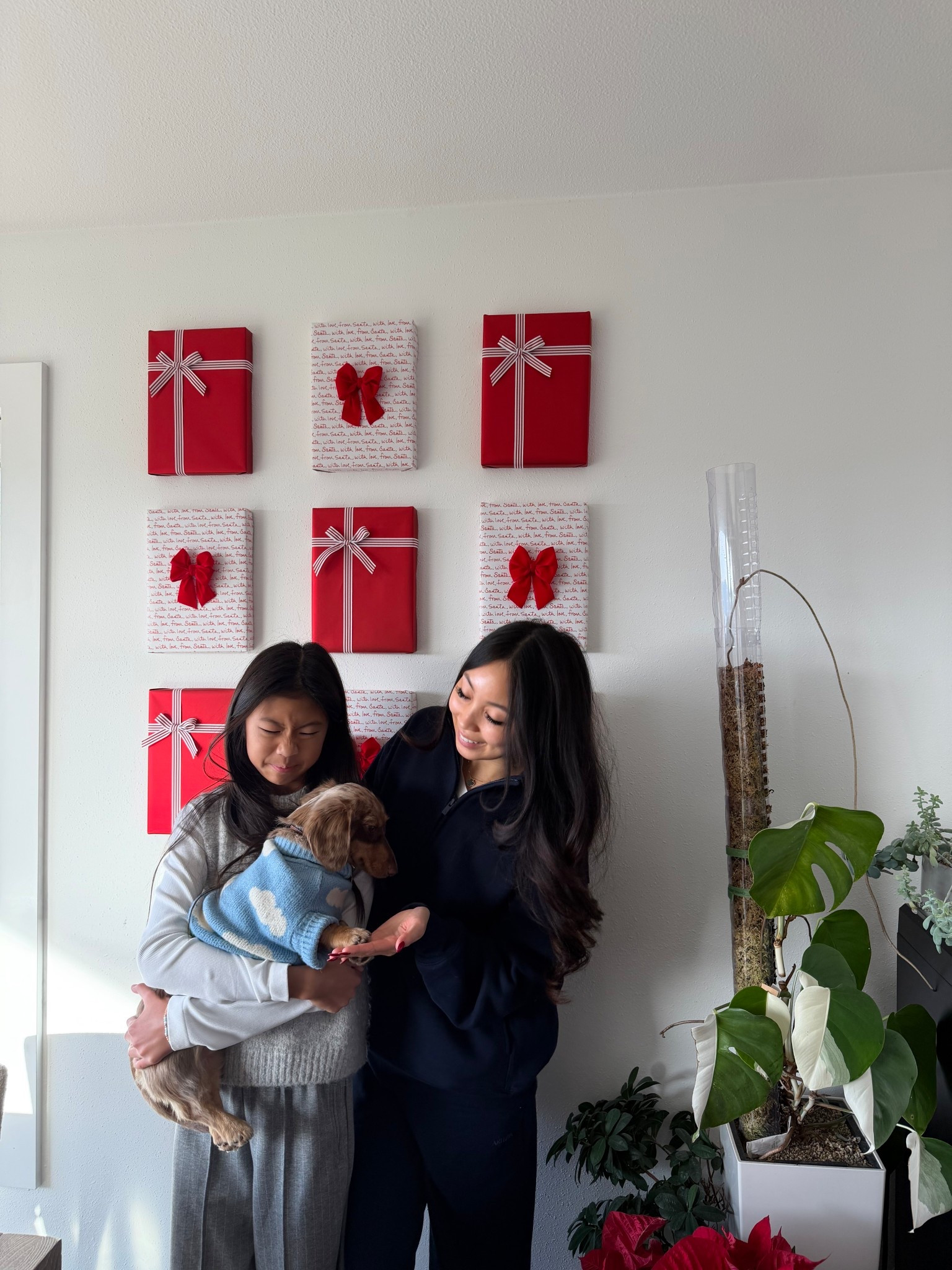 diy christmas decor for the kitchen wall! props to my mom for this one!! 🌹✨

#LTKHoliday #LTKHome #LTKSeasonal