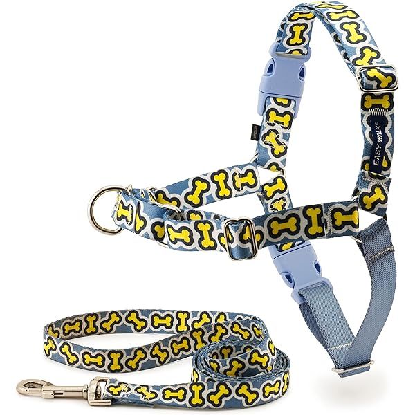 PetSafe Chic Gentle Leader Headcollar, No-Pull Dog Collar – Perfect for Leash & Harness Training – S | Amazon (US)