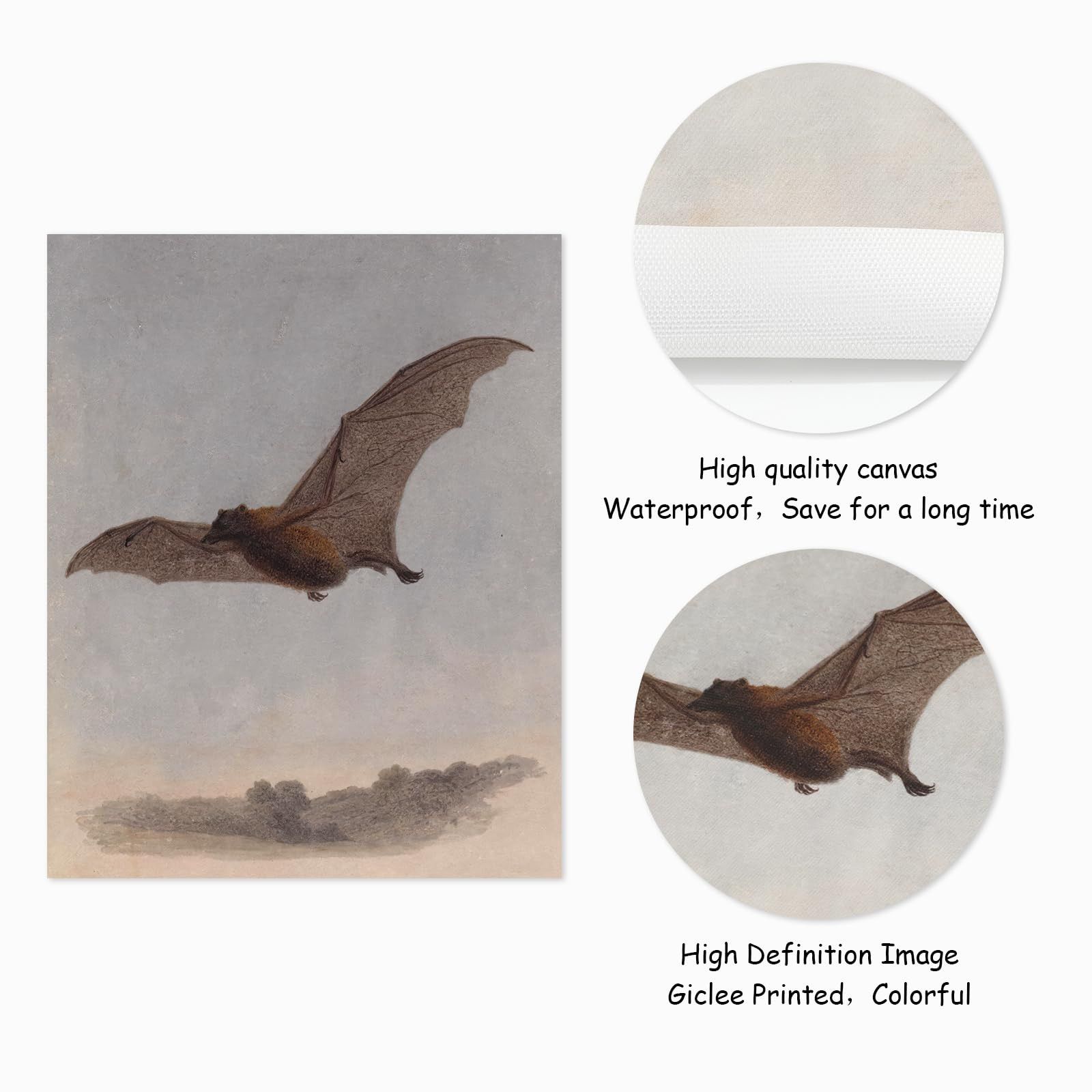 Whaline 9Pcs Dark Academia Canvas Wall Art Prints Vintage Halloween Wall Decor Witch on Broomstic... | Amazon (US)