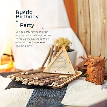BSIRI Pencil Wood Graphite Wooden Tree Rustic Twig Pencils Birch of 12 Camping Lumberjack Decorat... | Amazon (US)