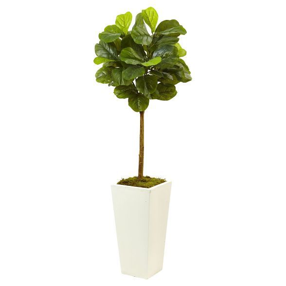Fiddle Leaf Fig in White Planter (4.5ft) - Nearly Natural | Target