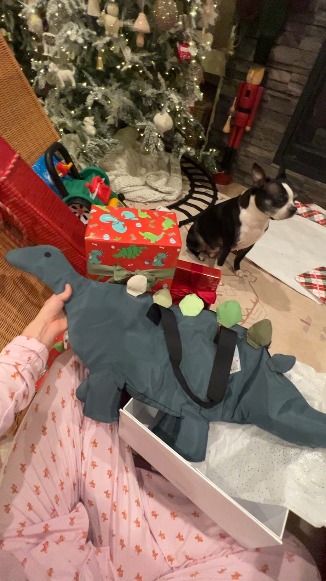 Cutest Dino duffel bag for $20! 

#LTKGiftGuide #LTKKids #LTKWatchNow