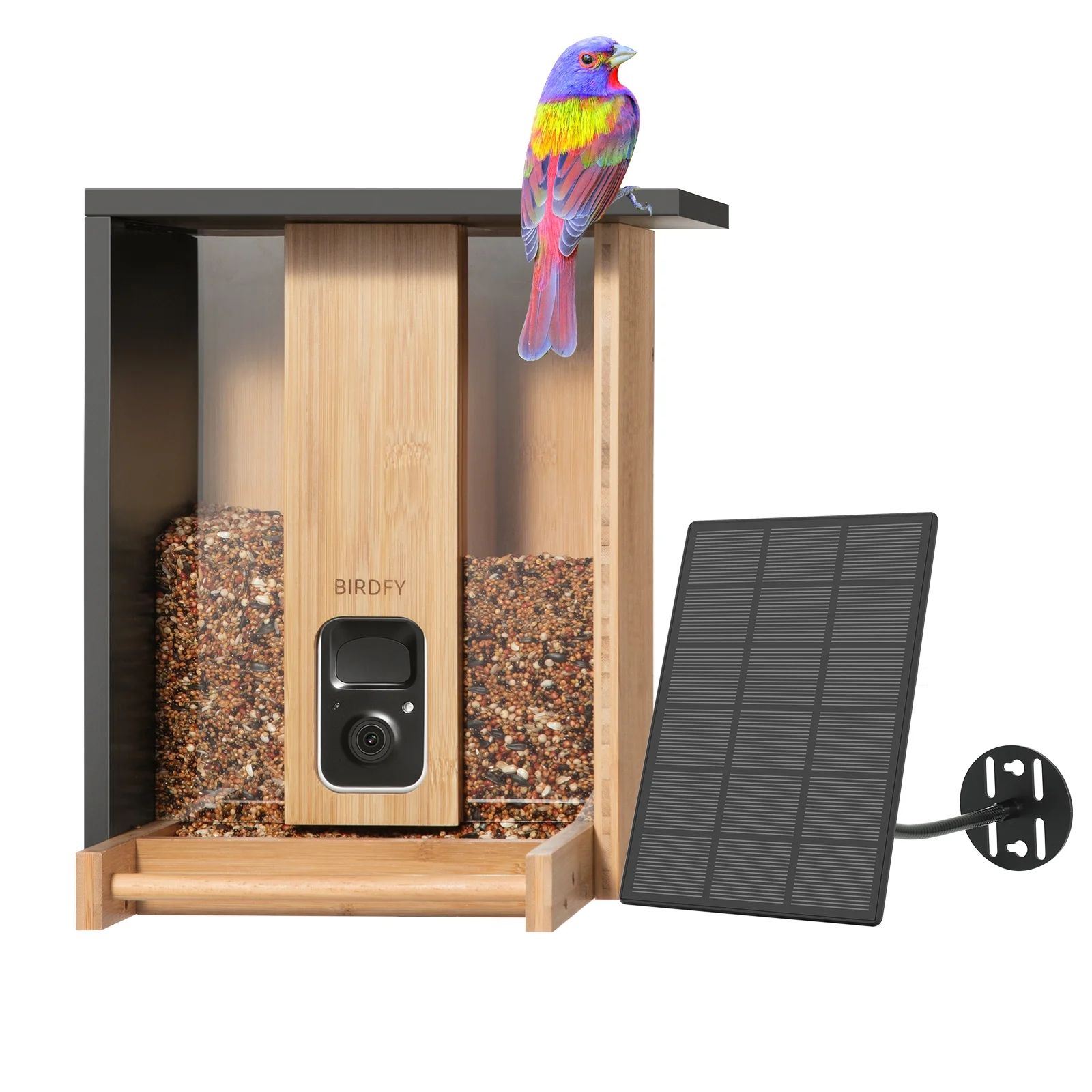 Bird Feeder with Camera, Netvue Birdfy Upgrade Smart Feeder Bamboo Ideal Gift for Bird Lover Natu... | Walmart (US)