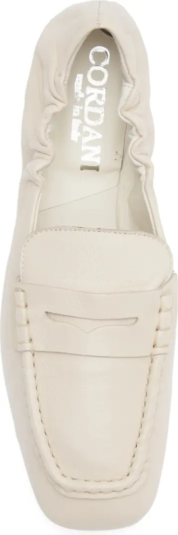 Arlie Penny Loafer (Women) | Nordstrom