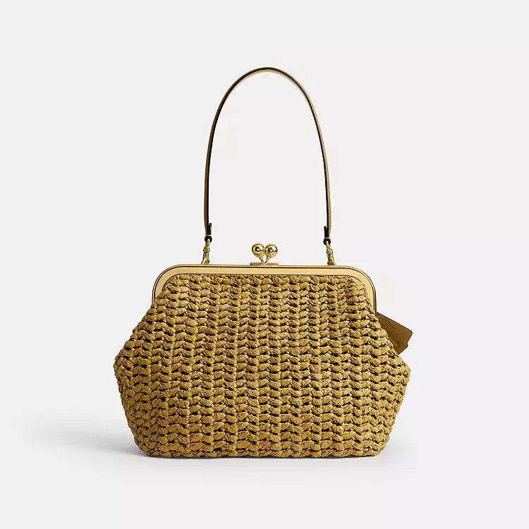 Kisslock Frame Bag 27 | Coach (US)