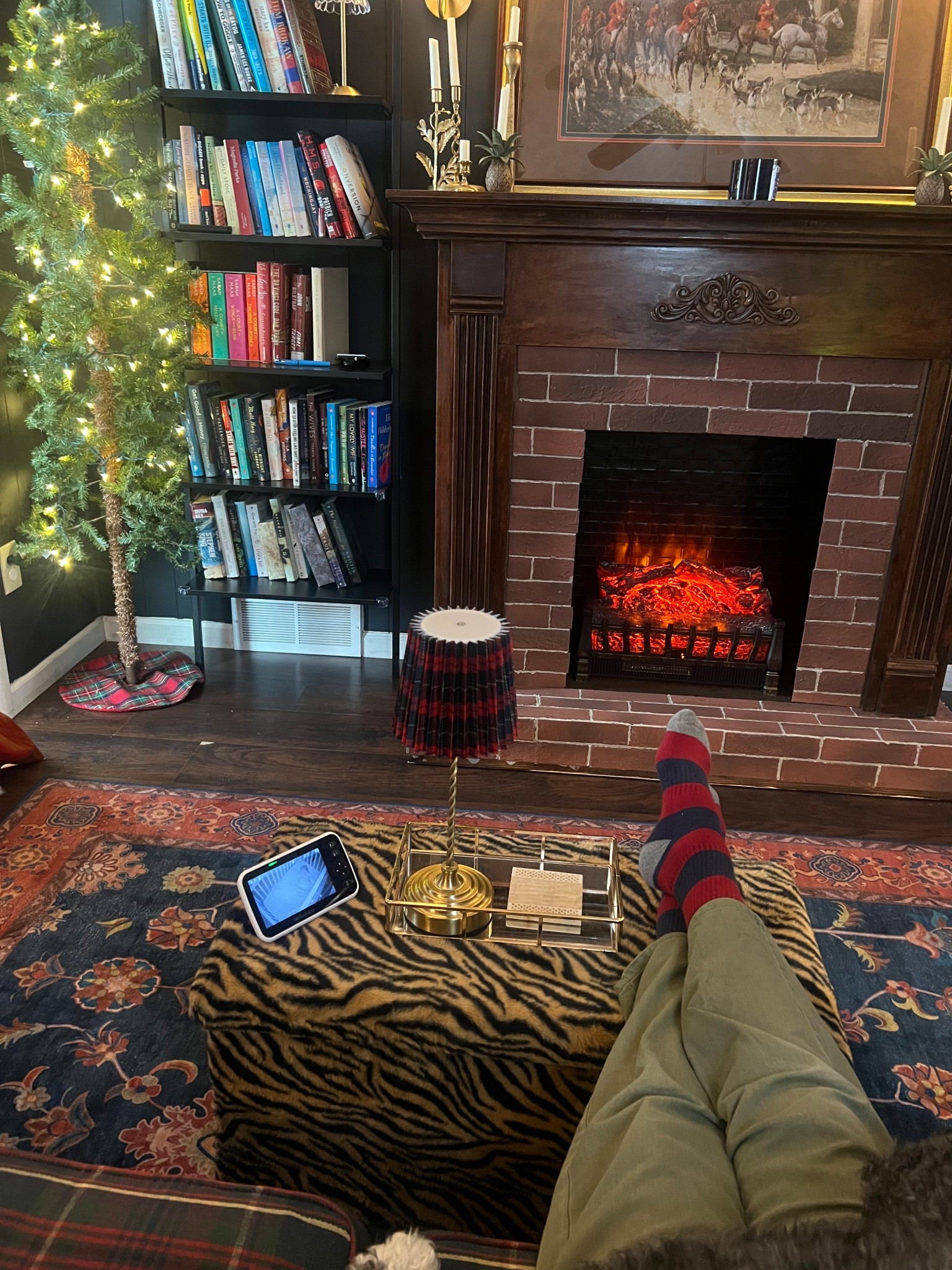 Tiger storage bench!!