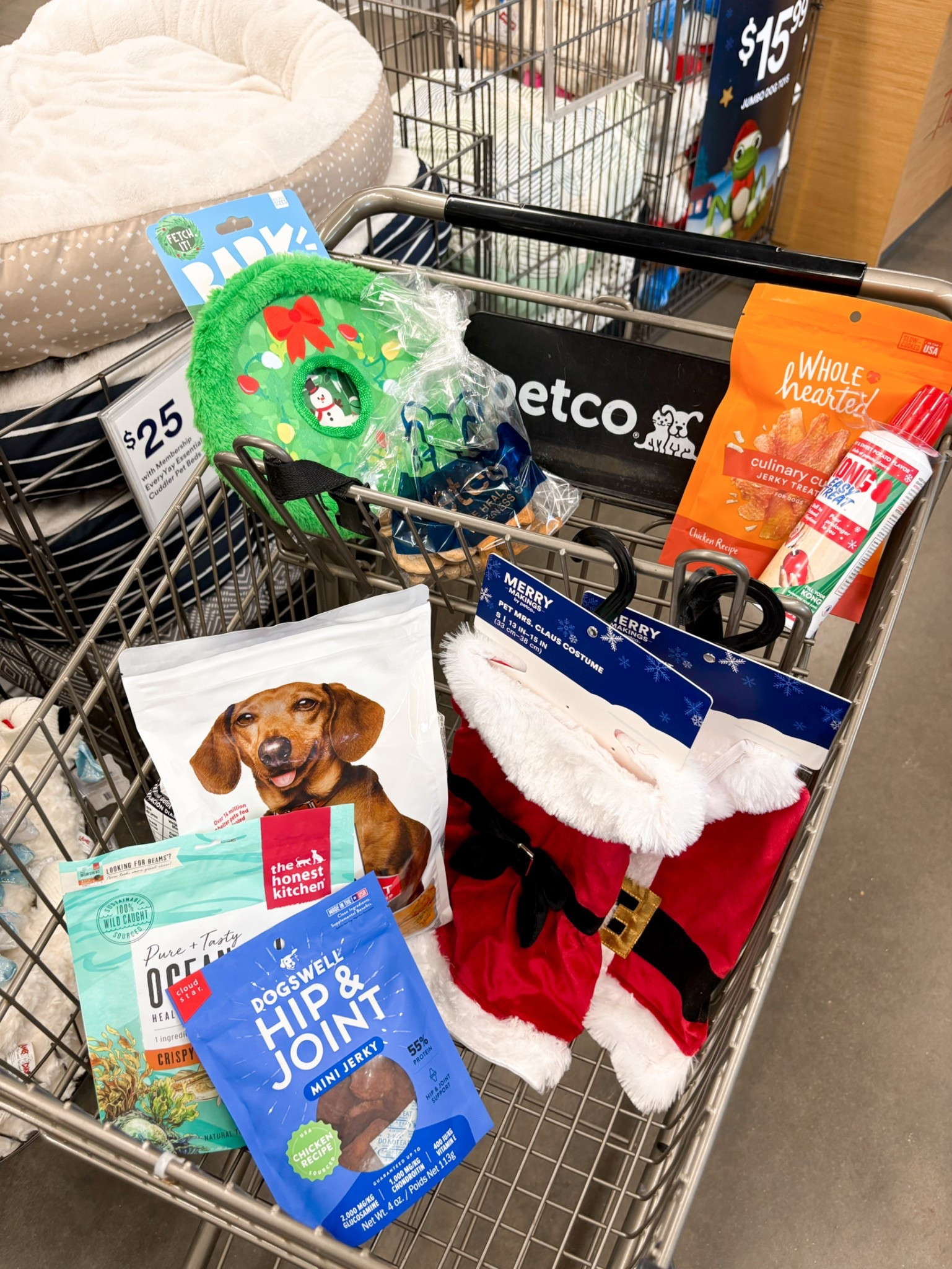 Pets need some holiday cheer too!🐶🎄❤️ #ad @petco #PetcoPartner 

#LTKHoliday #LTKGiftGuide #LTKSeasonal