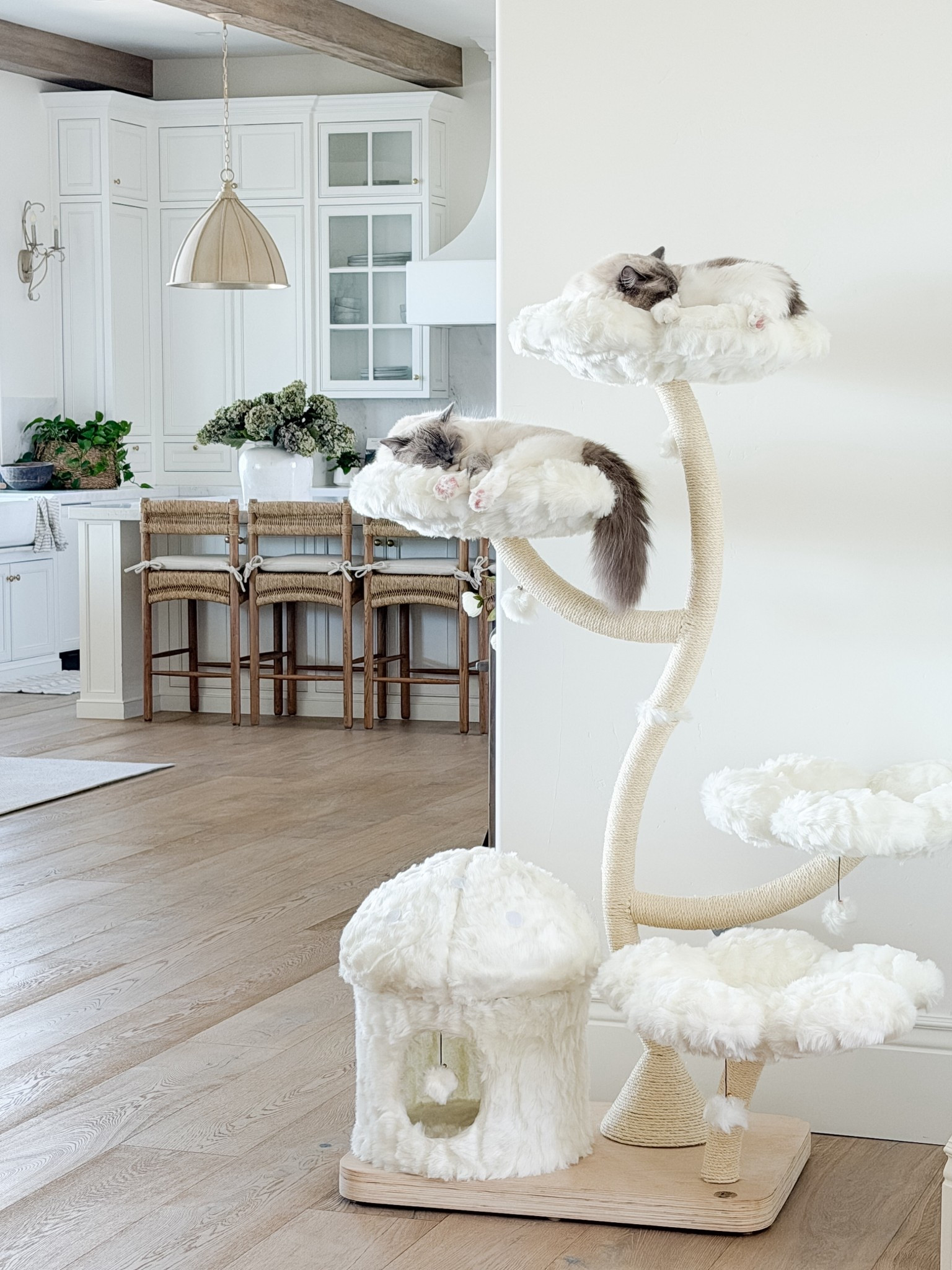 This cat tower is a splurge, but I love looking at it and it in unbelievably made!  The petals are large for larger cats like mine!  And it is so soft!!!  They love scratching on the stem!  I would 100% buy again!

#LTKHome #LTKmomlife