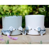 Dachshund Planter Dog, Gift, Dog Lover Doxie Planter Pot, Dachshund Owner, Gifts For Dog Lovers, Dachshund Mom, Weiner | Etsy (US)