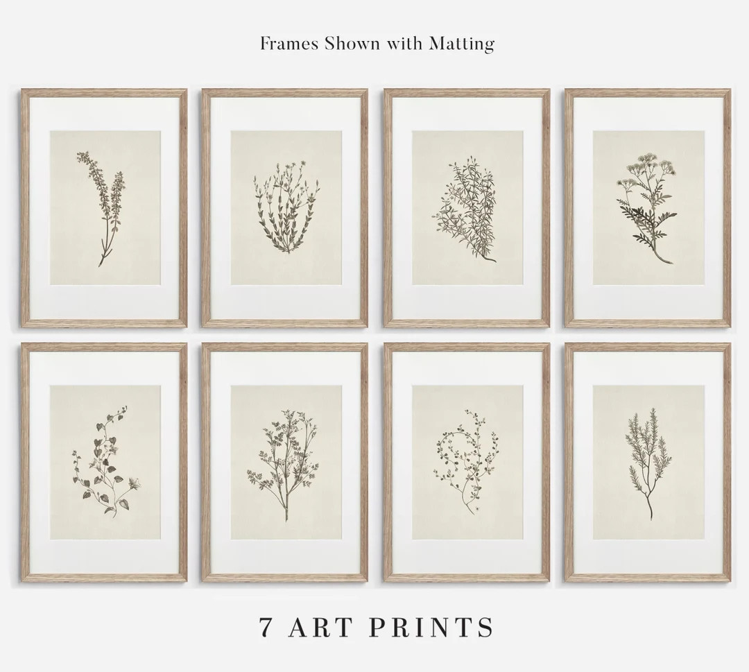 Neutral Botanical Print Set of EIGHT | Vintage Beige Gallery Art Print Set / Printable Wall Art S... | Etsy (US)
