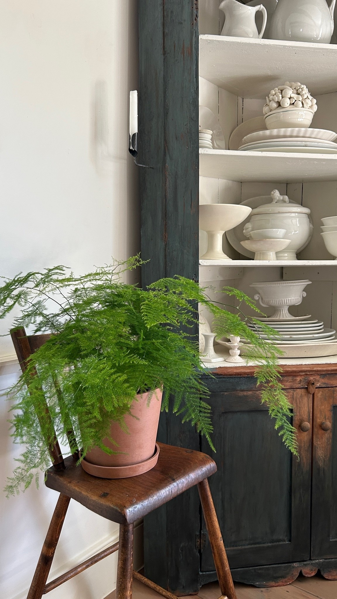 Use the code BLOOM10 for 10% off. @bloomscape #ad