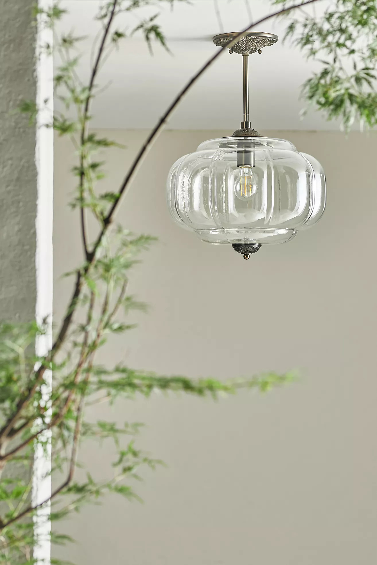 Eloise Glass Outdoor Semi-Flush Mount | Anthropologie (US)