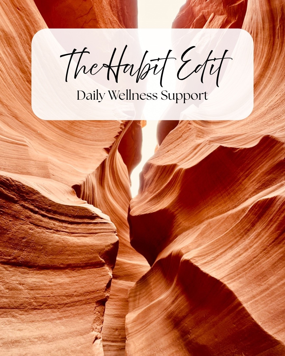 I’m a teacher and my kids go to two different schools, so we bring home a lot of germs. Here are some of the supplements we take to support our daily wellness. 
#wellness #vitamins #selfcare #olly

#LTKselfcare #LTKmomlife #LTKOver40