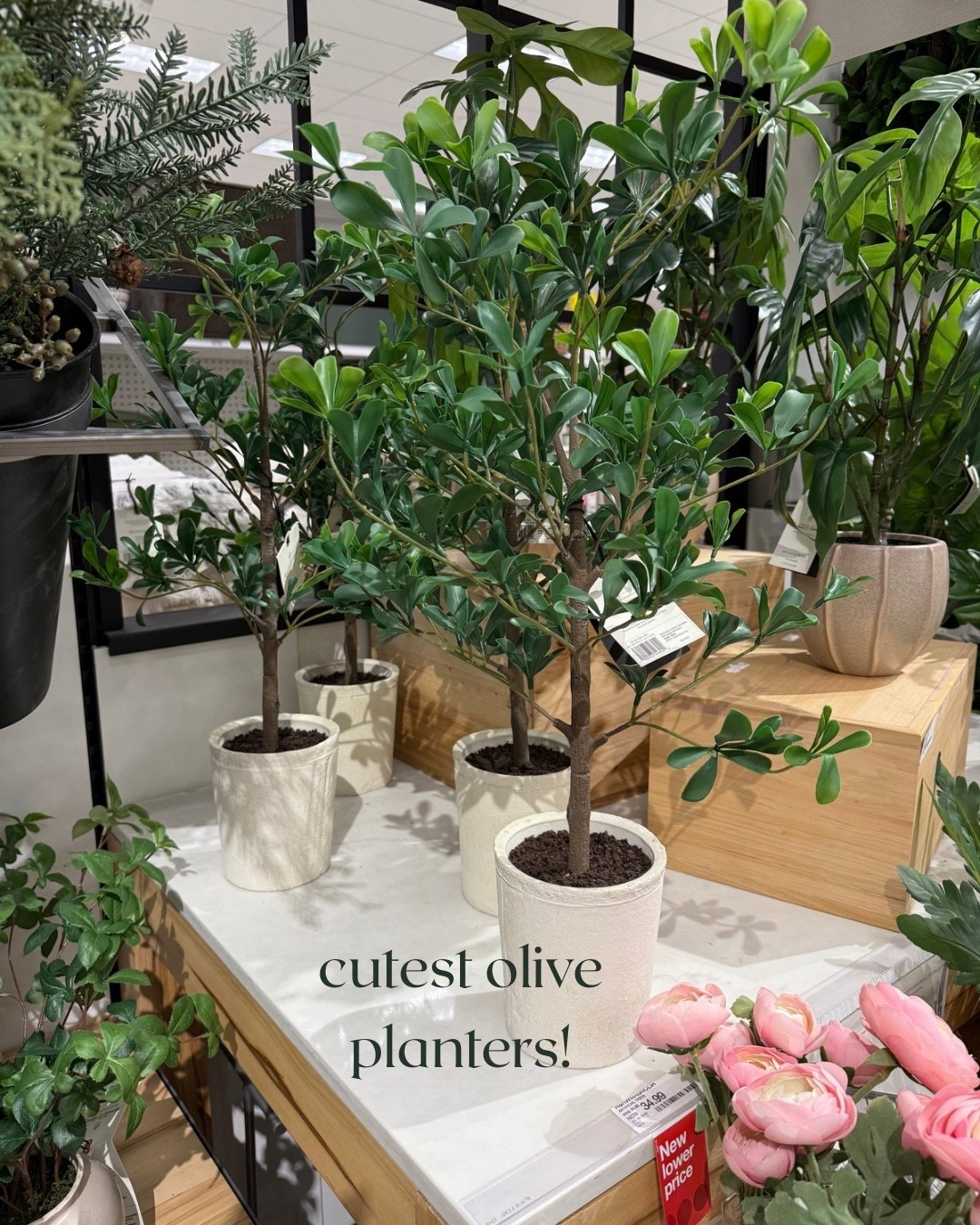 Target olive planters

#LTKmomlife #LTKstorytime #LTKSeasonal