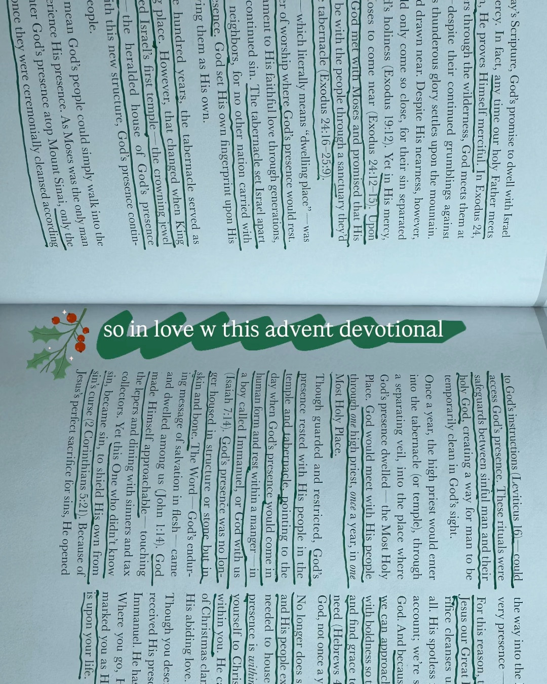 I encourage you to read this page as it shares the powerful meaning behind the birth of Jesus, God with us, his faithfulness to be present with us through generations, and the blessing of his fruitful spirit that he has made possible for us to dwell in every moment of our lives here on Earth. ❤️

I paused my other devotionals for the month of December to embrace all things advent and center my mind on the birth of Christ for the season and it will be a tradition I look forward to now every year ⛪️🎄

My husband and I are each doing the men’s and women’s version of these books and they have easily become one of our favorite parts of every morning/evening in the Countown till Christmas 2️⃣5️⃣ 

I love that the men’s and women’s are similar to each other so we can have conversations and be challenged with the same memory verses yet still have our own books that feel more personal to us. 

If you’ve been looking for something like this - look no further ❤️


#LTKGiftGuide #LTKHoliday #LTKSeasonal