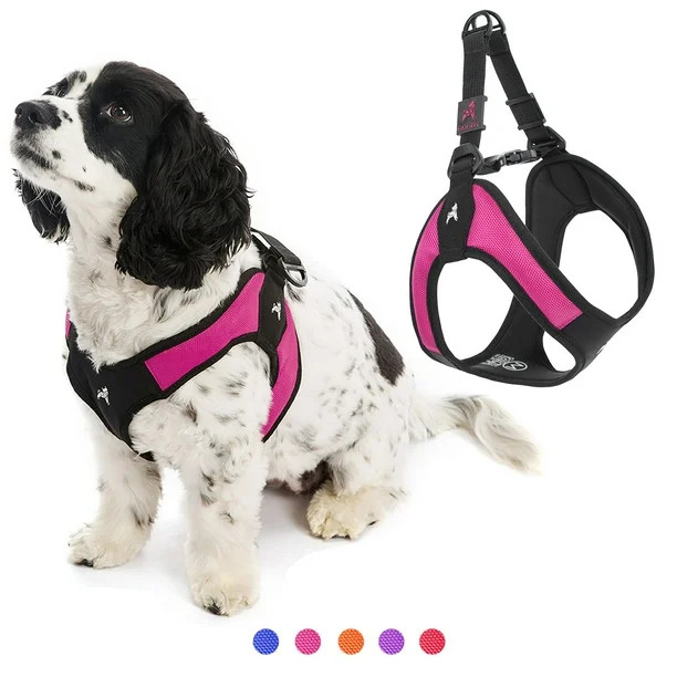 Gooby Escape Free Easy Fit Harness - Hot Pink, Large - No Pull Step-in Patented Small Dog Harness | Walmart (US)