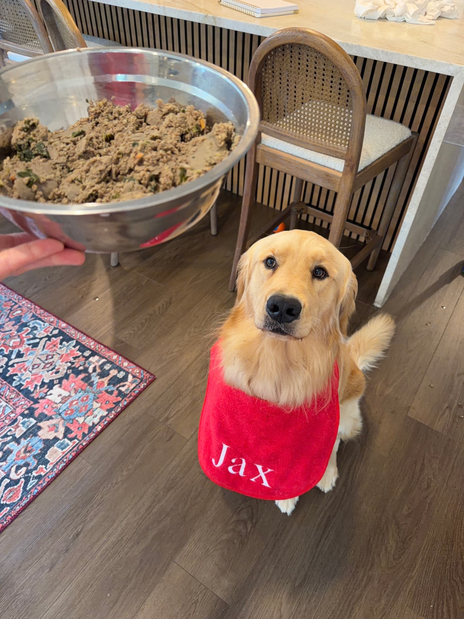 Use my link for 60% off your first box of real, fresh food from @thefarmersdog #tfdpartner #thefarmersdog