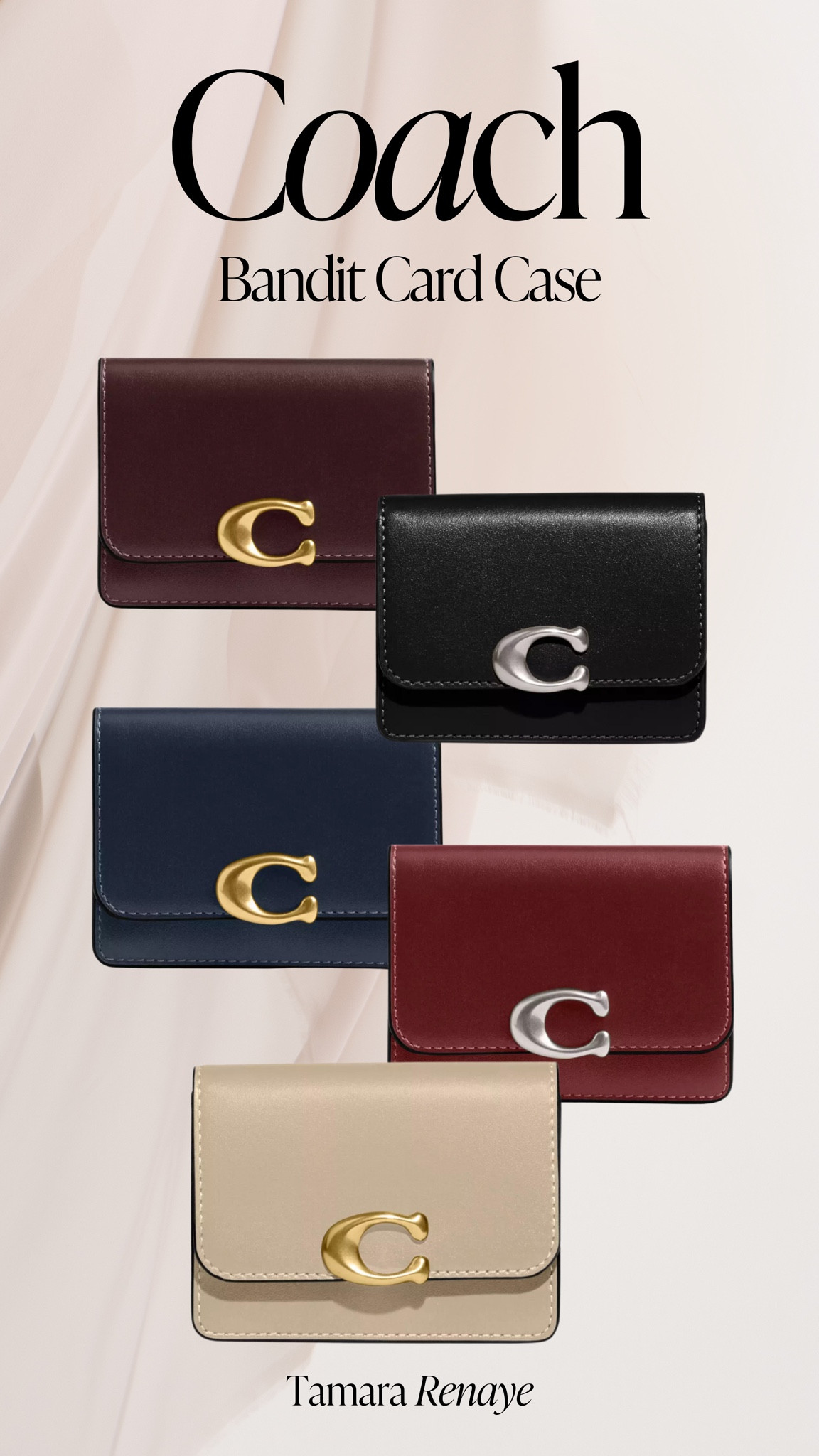 Classic Coach card case 👀

#LTKstyletip #LTKautumn