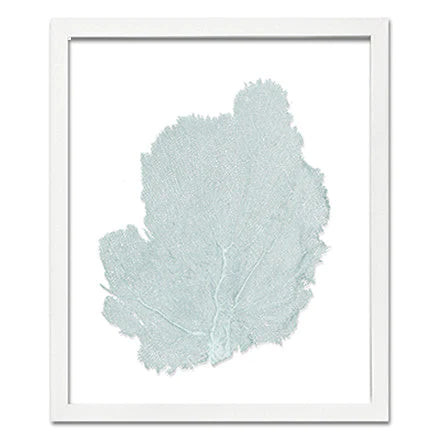 Framed Sea Fan - Aqua | Coastal Artwork | Coastal Bleu | Coastal Bleu LLC