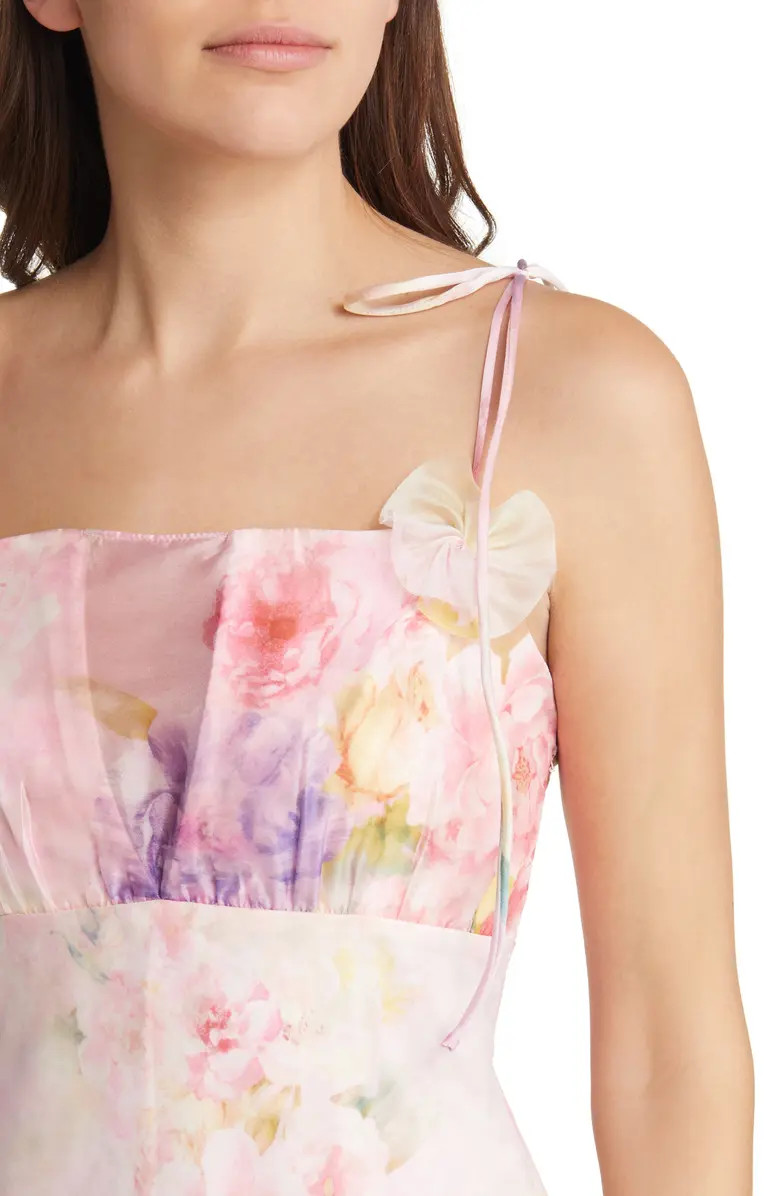 Lisa Floral Organza Maxi Dress | Nordstrom