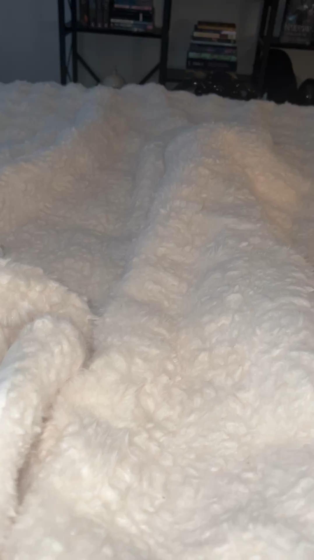 When you accidentally make it 10x harder to get out of bed now 🤭

#LTKHome #LTKWatchNow #LTKMostLoved