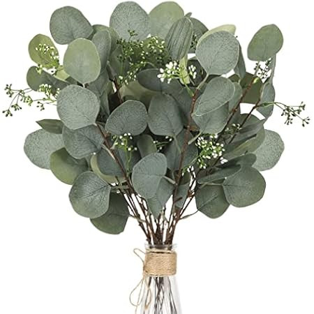 Silver Dollar Eucalyptus  | Amazon (US)
