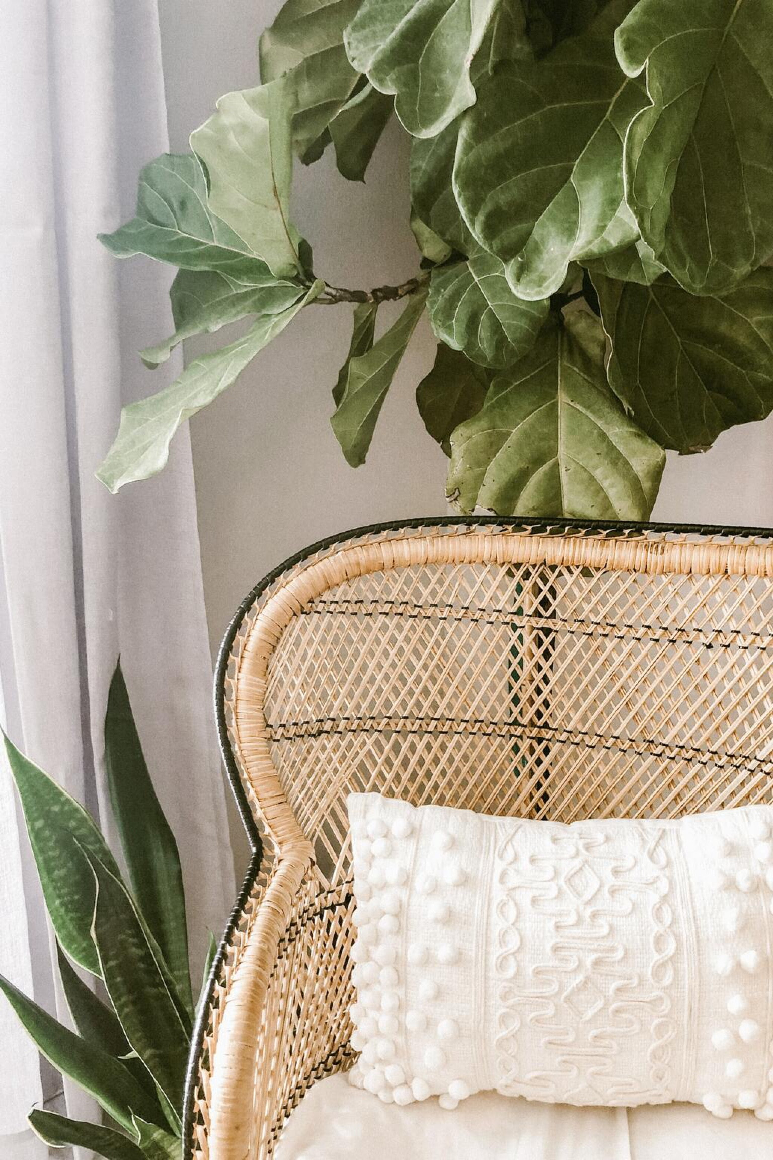 Bambus- und Rattan-Möbel – ein kleiner Shoppingguide

#LTKhome #LTKstyletip