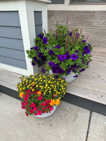 Planting my flowers this week! In a little behind but sharing my pots and some more gardening essentials 🌷🌱☀️

#LTKFindsUnder50 #LTKSeasonal #LTKHome