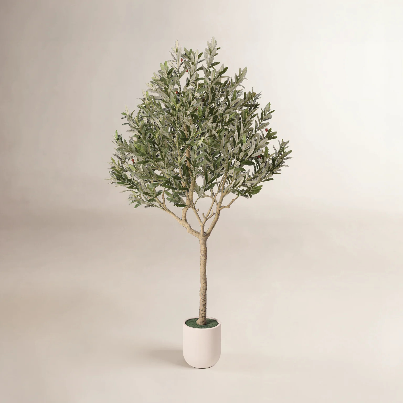 Faux Olive Tree 8Ft Artificial Plant – Realistic Silk Olive Tree With Lifelike Leaves & Fruits, Tall Indoor Fake Tree For Home Decor Living Room Offic | Wayfair North America