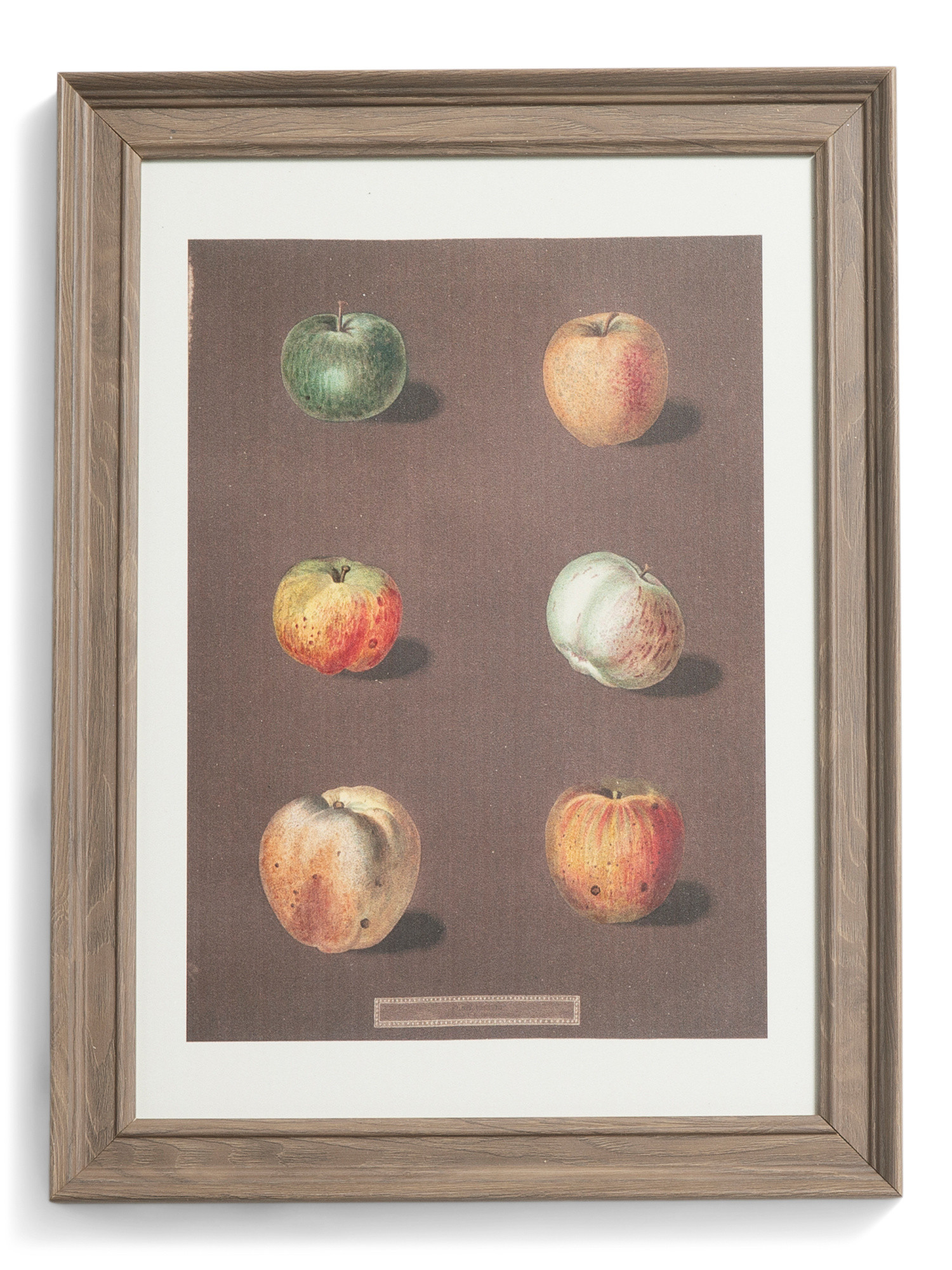 12x16 Fall Fruits Wall Art | TJ Maxx