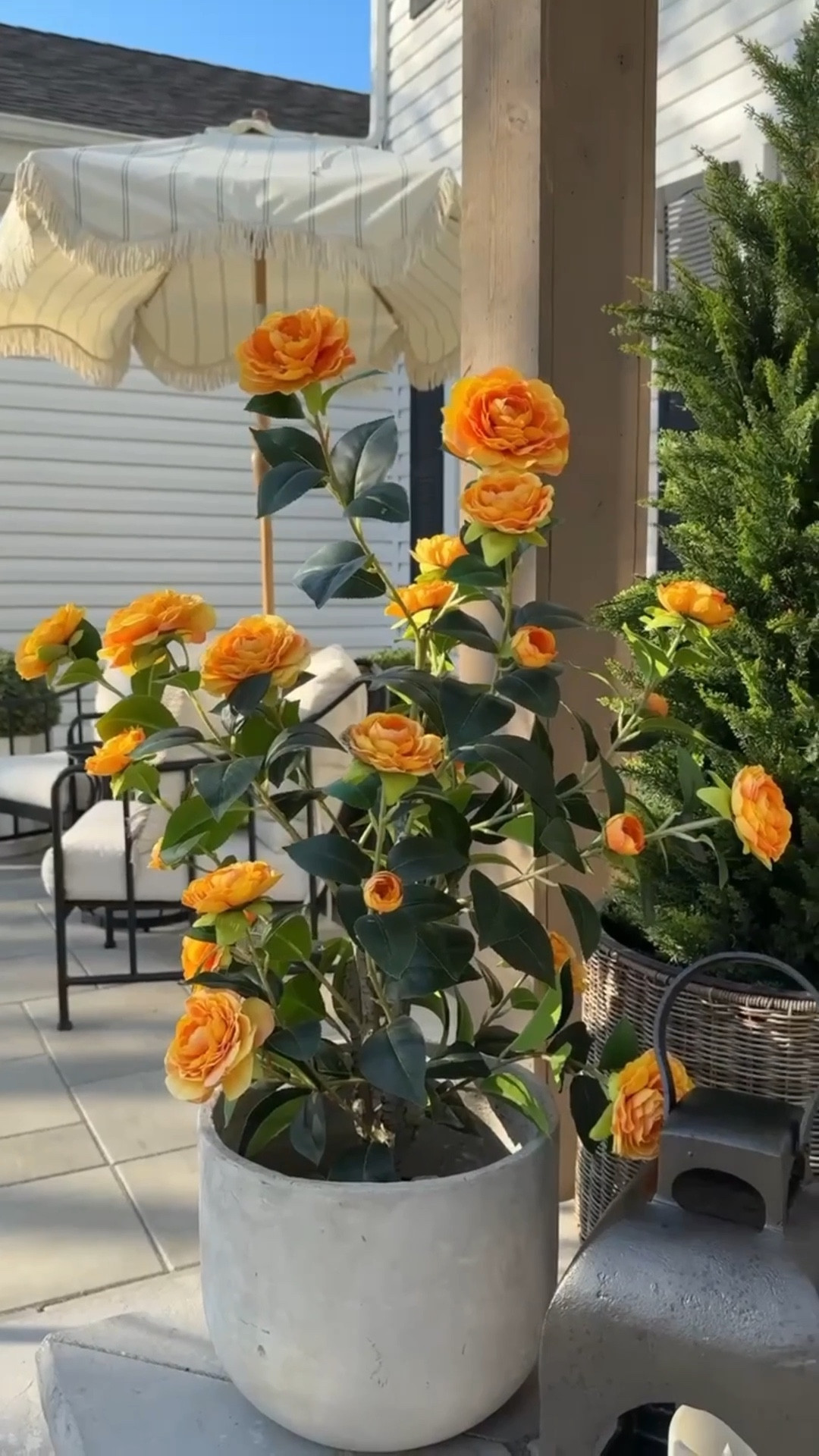 Prep for patio season with these 10 Amazon outdoor favorites that you’ll love! Faux plants and greenery, accent lighting, natural bug repellents, entertainment and more! 

#LTKHome