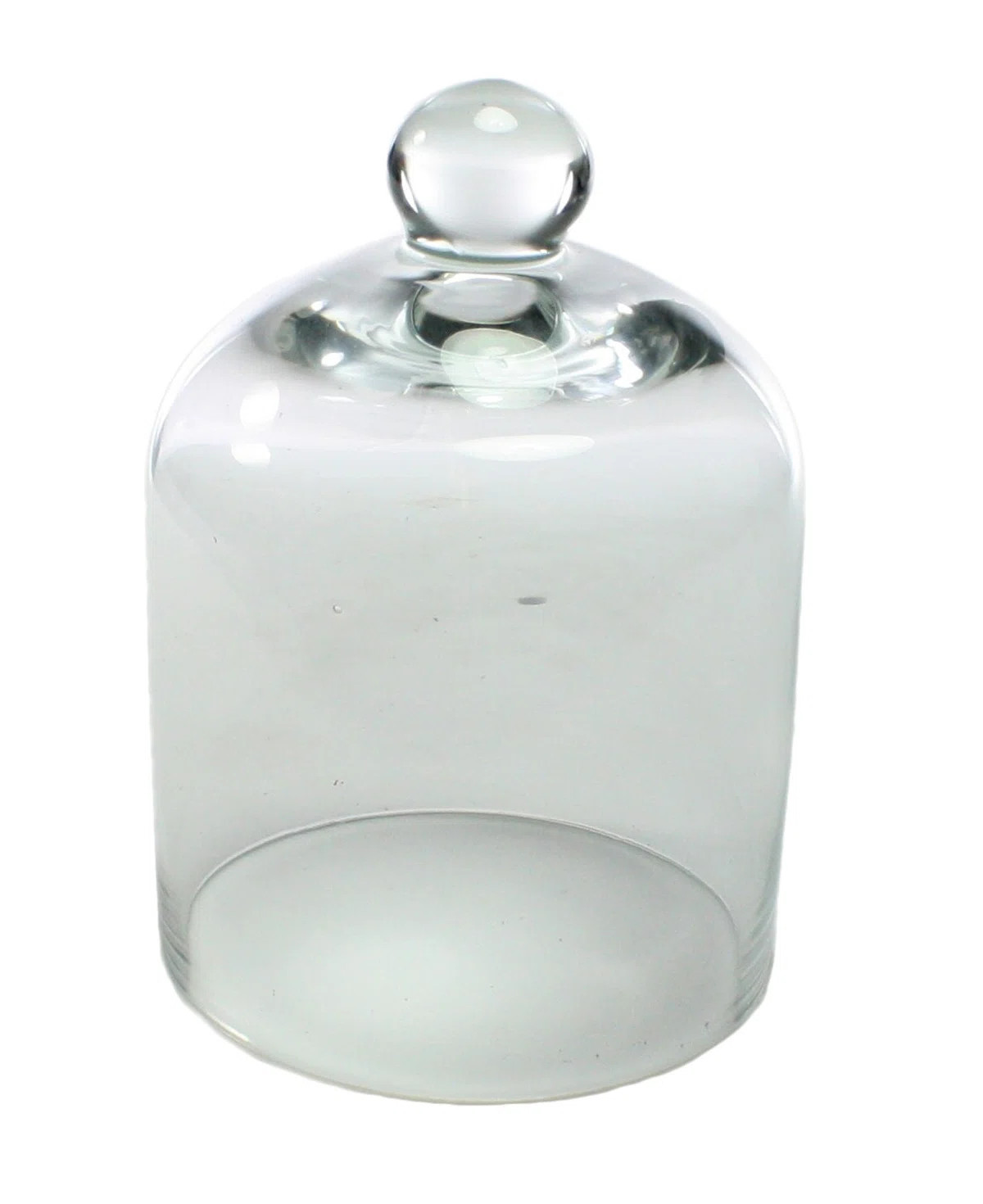 AREOhome Universal Glass Glass Dome | Wayfair | Wayfair North America