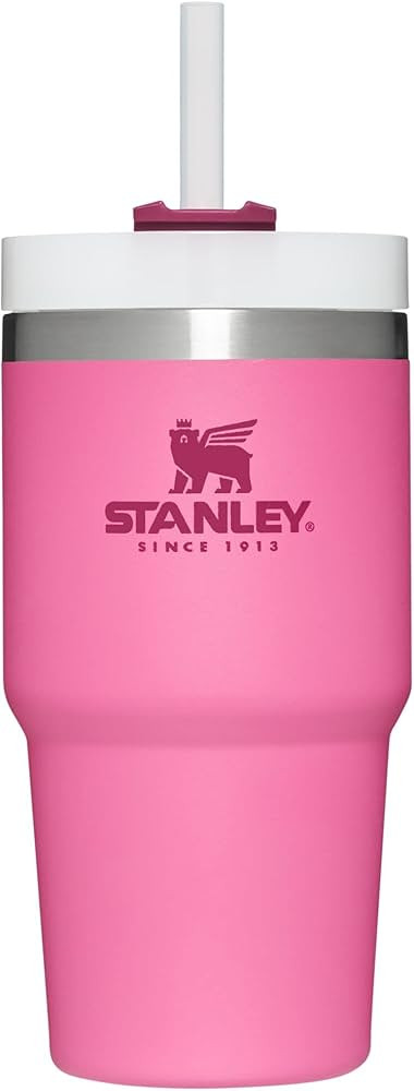 Stanley Adventure Quencher Travel Tumbler 20oz Azalea | Amazon (US)