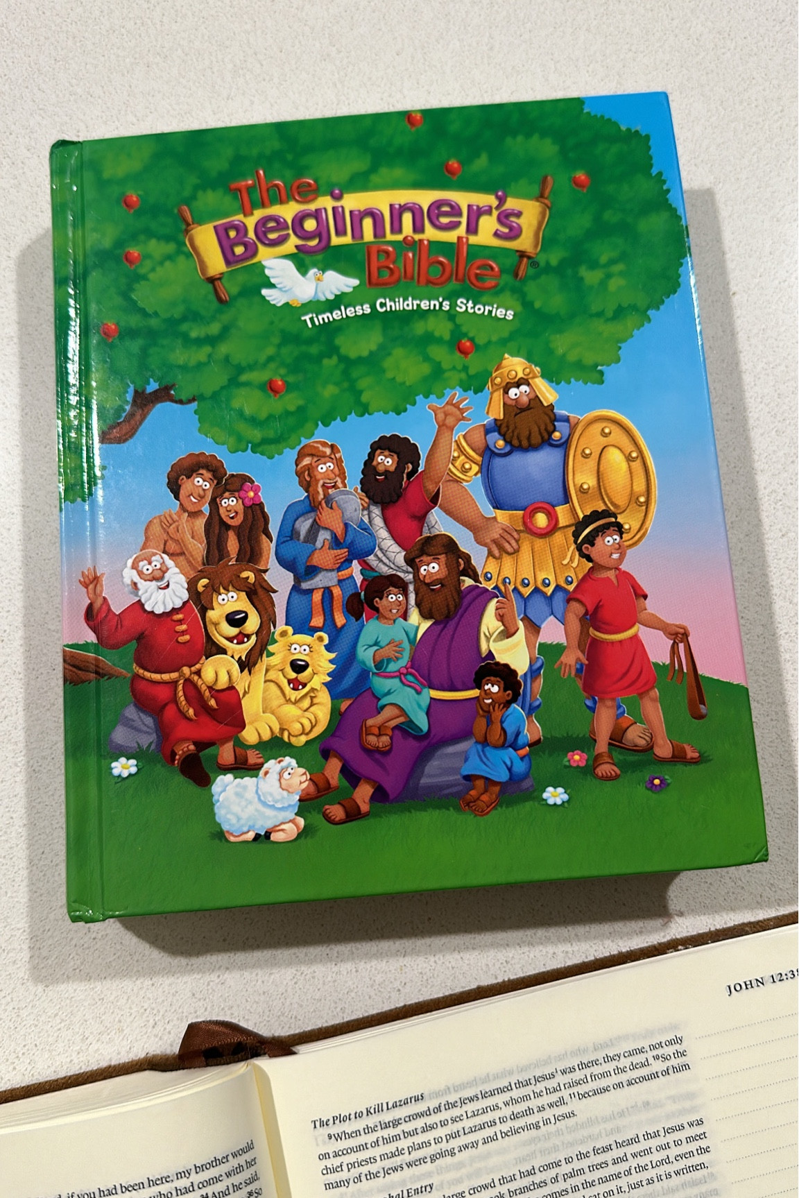 Great picture Bible for a toddler/kids! We love this one so much. I even like to read through when I need things more simple😂

#LTKfamily #LTKkids