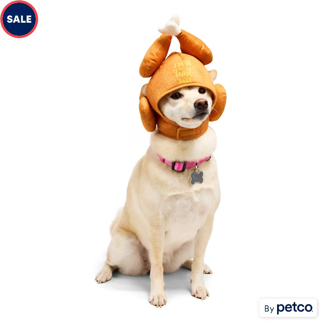 YOULY Feast Mode Turkey Pet Headpiece, Large/X-Large | Petco