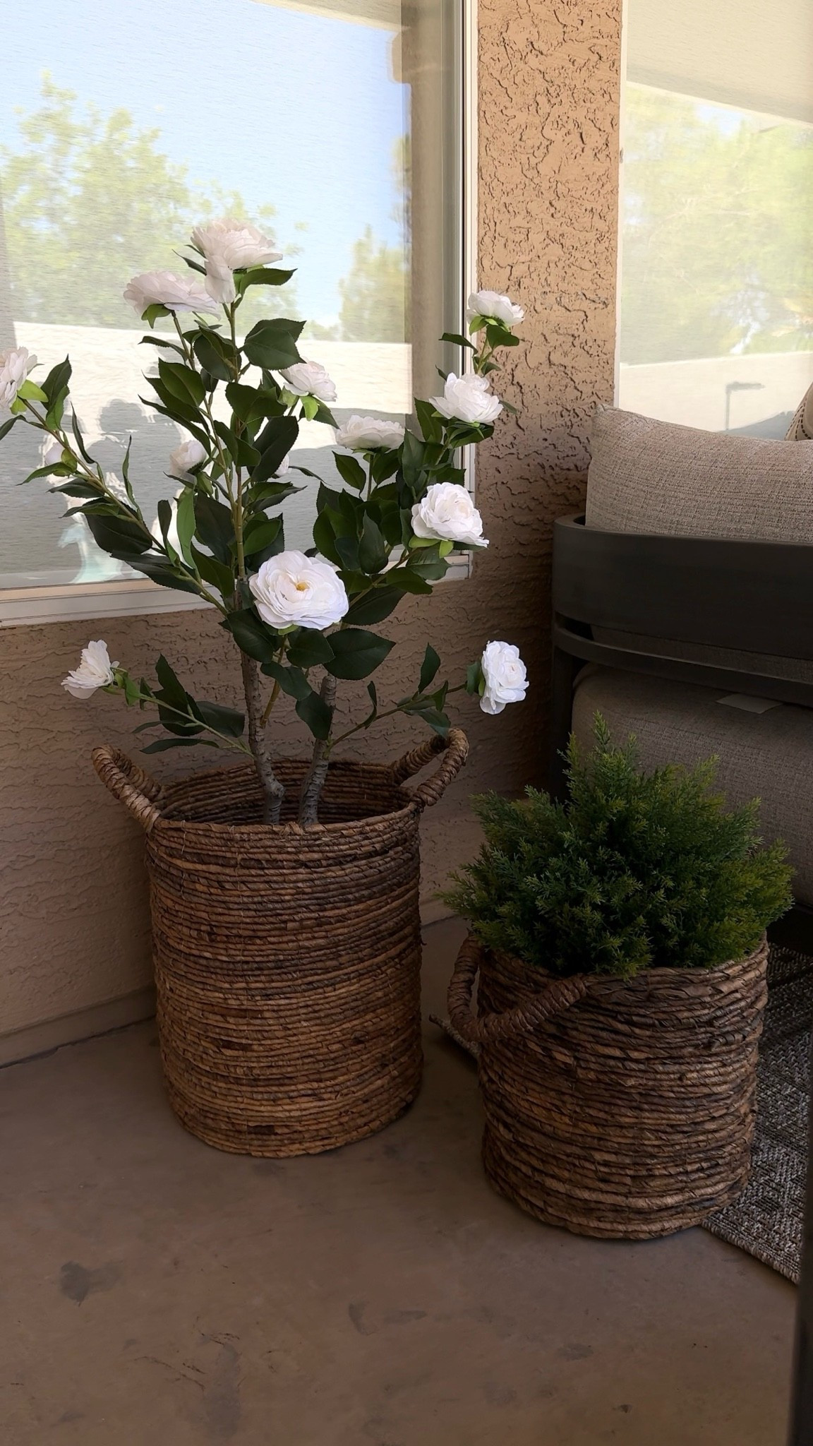 Faux plants = zero maintenance and I’m here for that!! Especially in the AZ heat, it’s so tough to keep real plants alive. 
I love this faux rose plant, it adds so much character to the space! And this cypress topiary is the perfect accent. 
#ad #wayfair #wayfairpartner @Wayfair

#LTKSeasonal #LTKHome