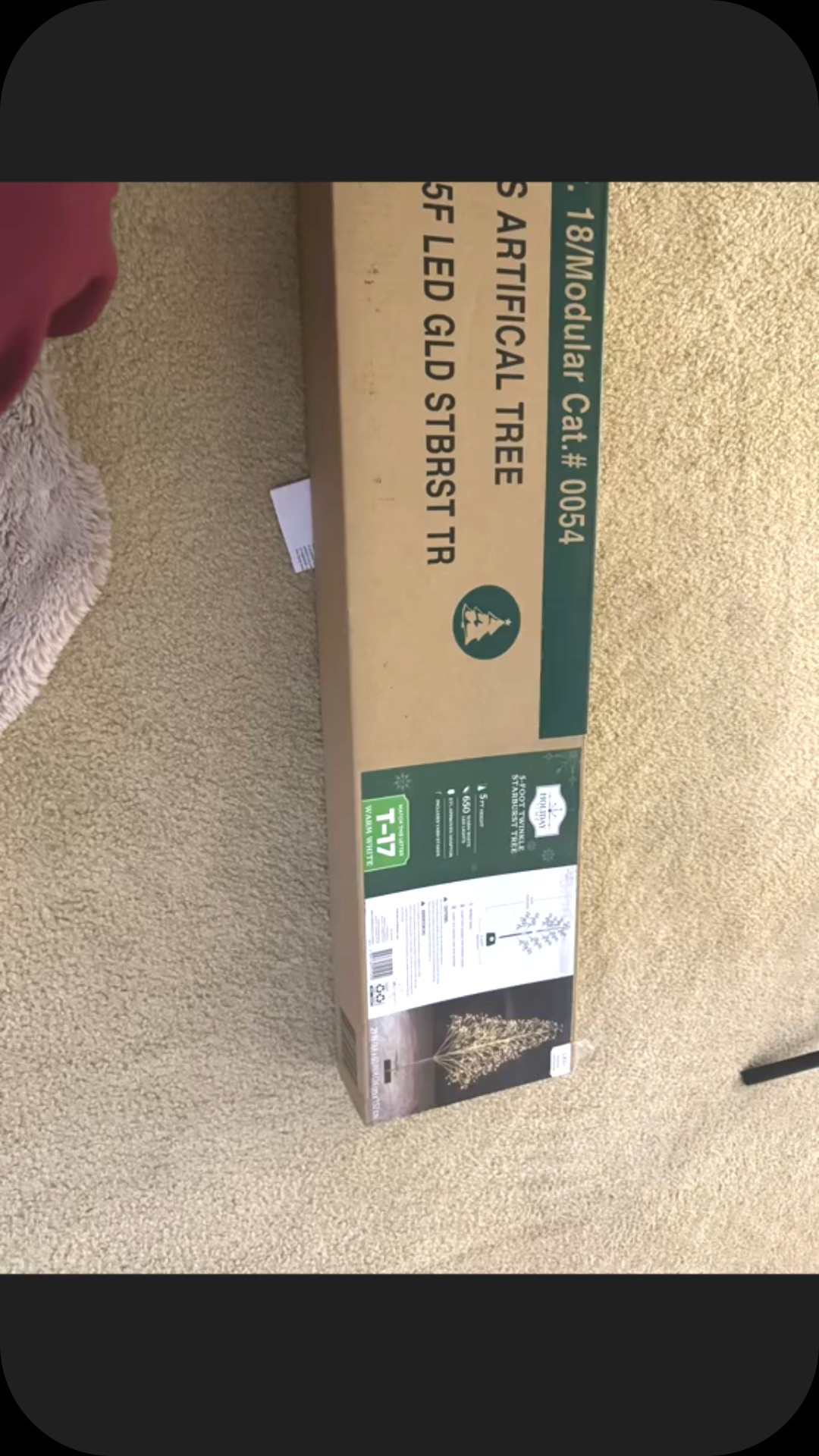 Say hello to my newest bedroom show-stopper! 🌲✨
This gorgeous tree is officially the main character, and trust me… she understood the assignment. Soft glow, cozy vibes, instant upgrade. If your room needs a little magic, this is the tree to make it happen.

Go ahead and treat your space — it deserves to shine too. 💫

#LTKHoliday #LTKSeasonal #LTKU