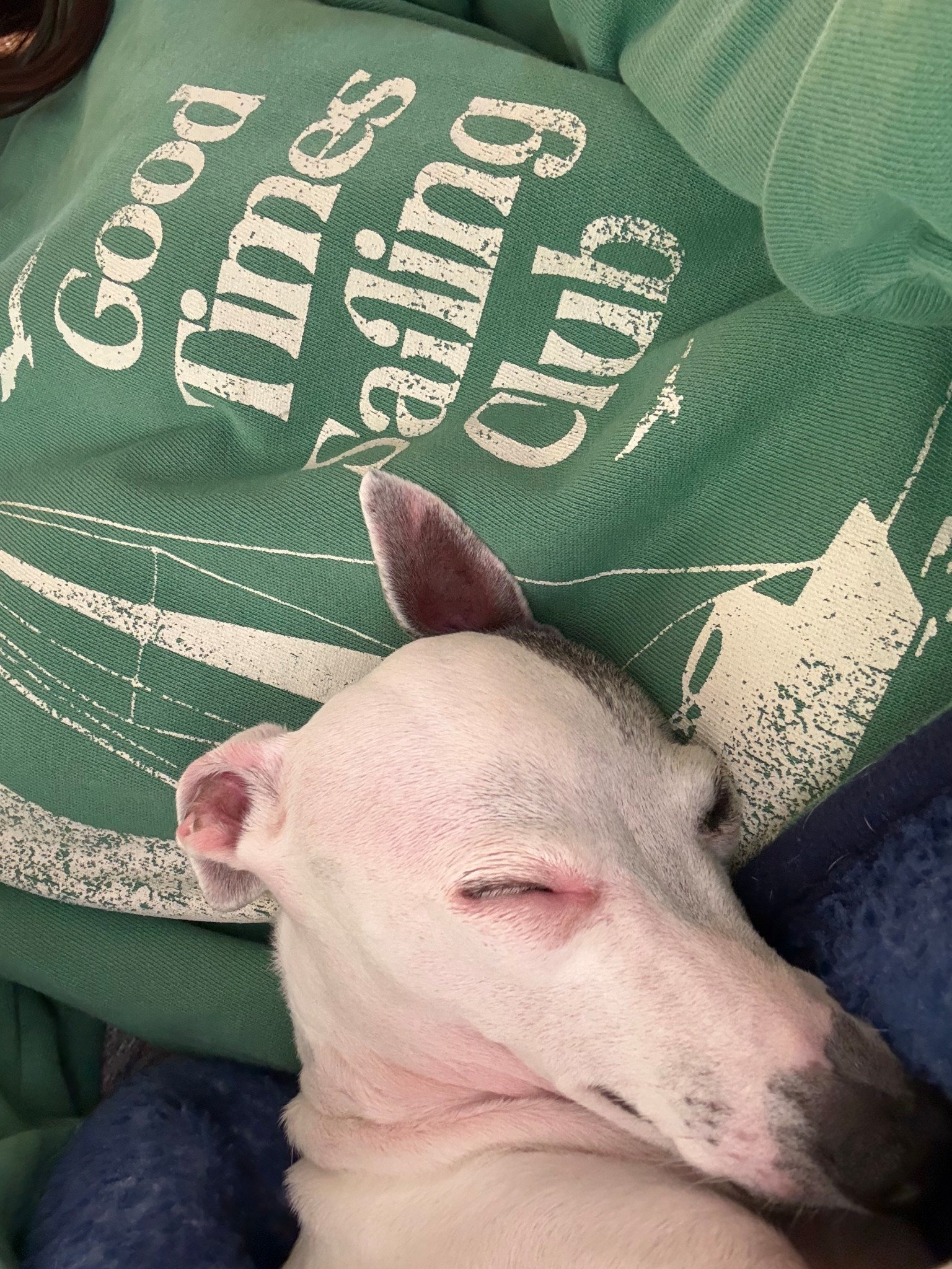 If you need me today, I’m gonna be right here, holding this little girl. An unfortunate incident happened around 1:30 this morning and we almost lost this sweet girl. My heart is so heavy today but so incredibly thankful to God for protecting her!!!

#LTKvlog #LTKstorytime #LTKdayinmylife