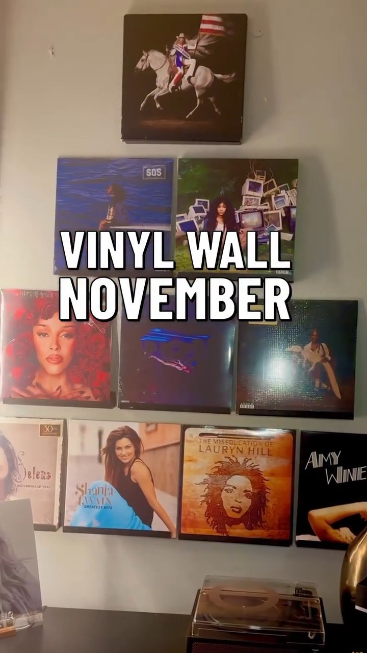 November Vinyl Wall 🎵

This month I switched it up, some of my favorite female artist 🎶

#vinylwall #vinylsoundsbetter #musiclover🎶 #albumartwork #beyoncè #szasos #laurynhill #shaniatwain #selenaquintanillafans #amywinehouseforever #doja