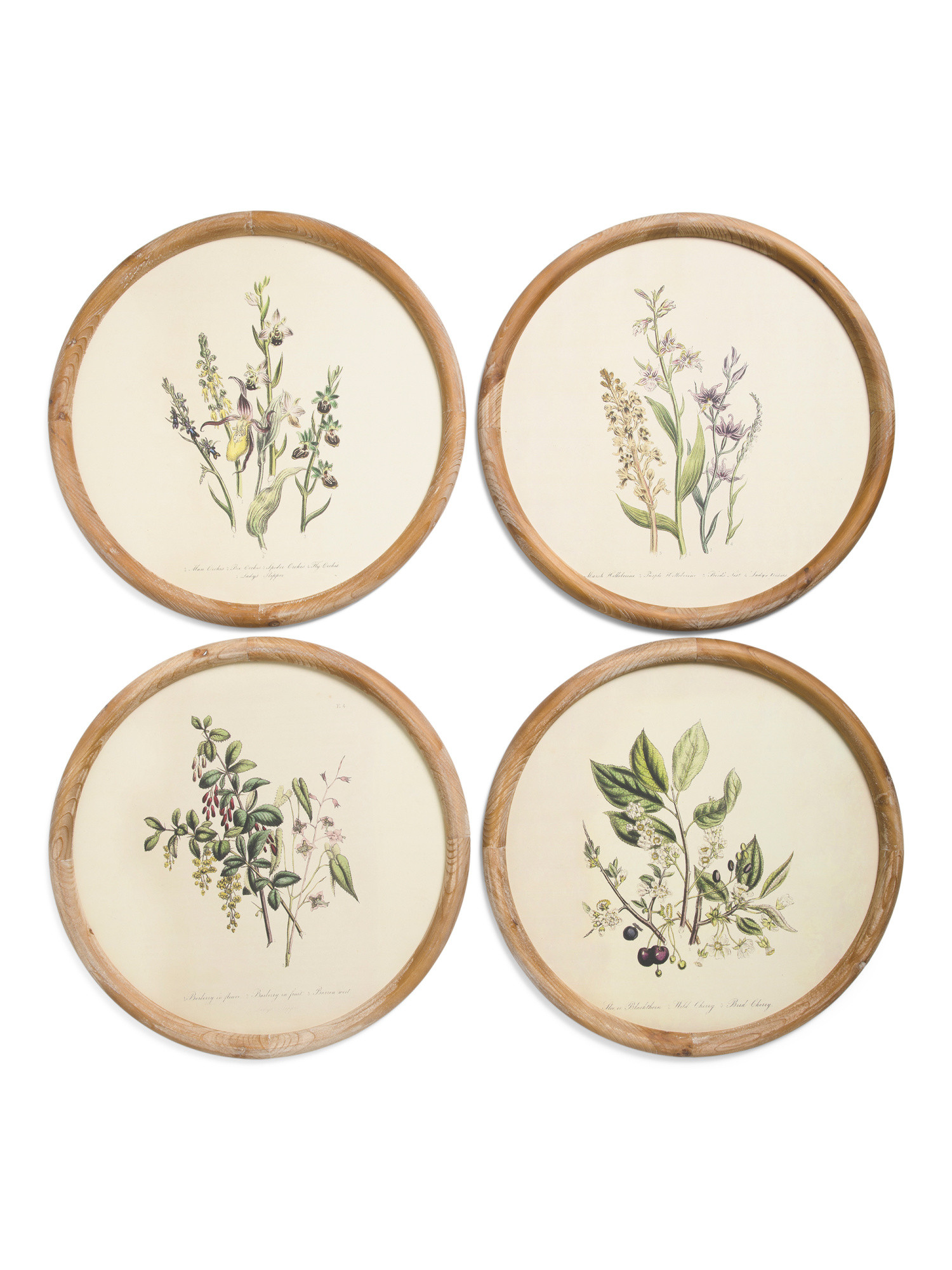 4pc 19in Round Frame Floral Print Wall Art Set | Home | Marshalls | Marshalls