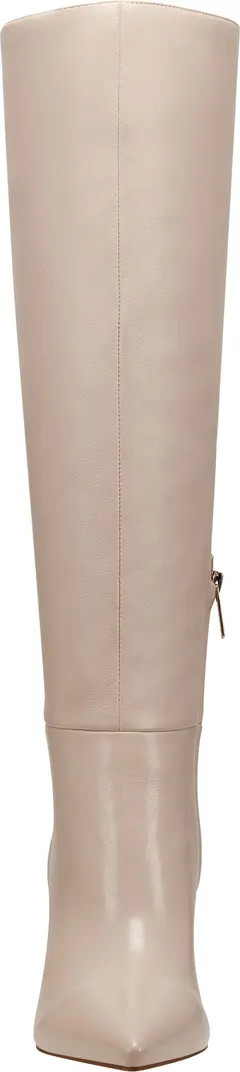 Georgiey Pointed Toe Knee High Boot (Women) | Nordstrom