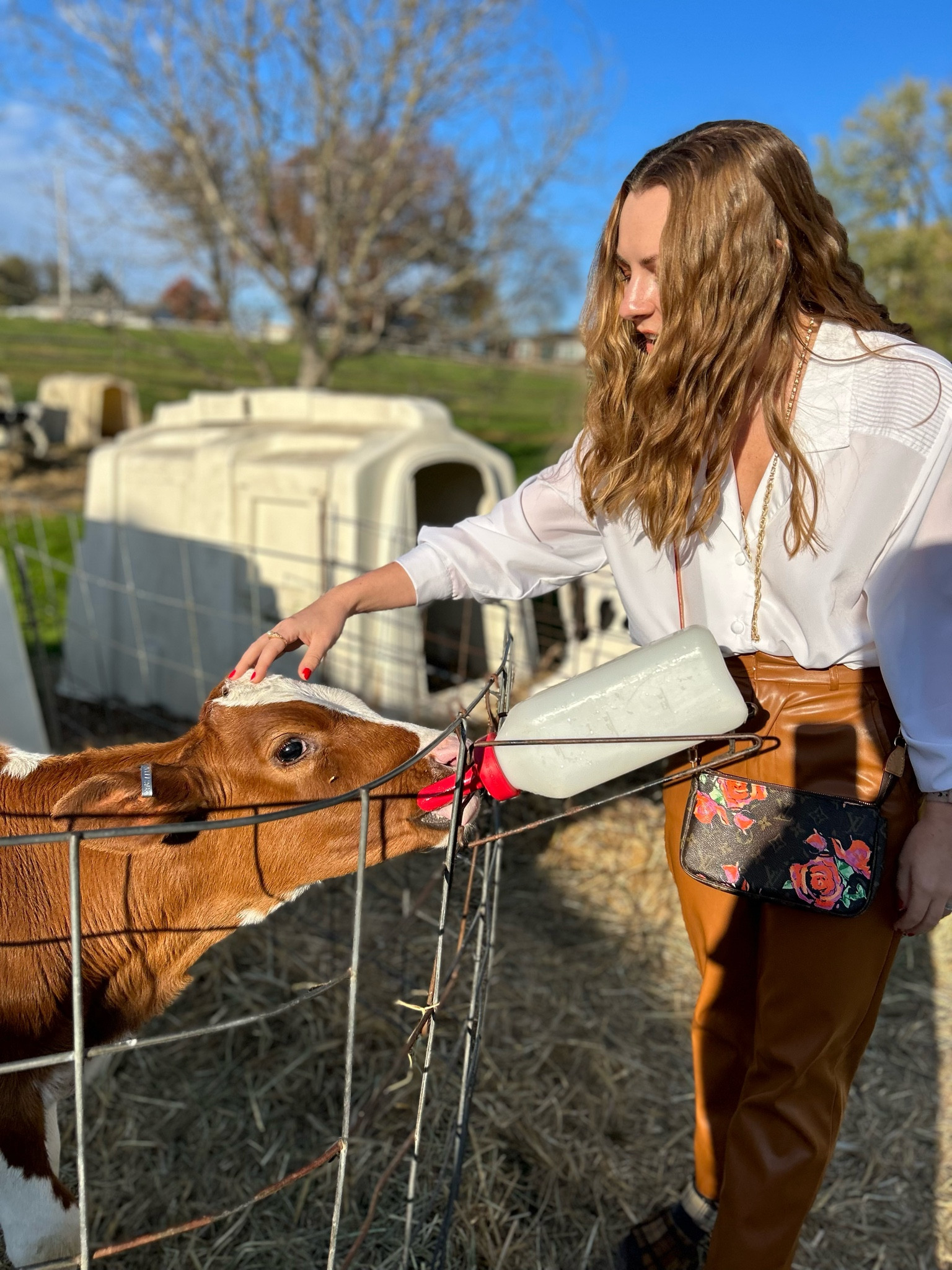 Fall farm friendly pleather pants 

#LTKSeasonal #LTKfindsunder100