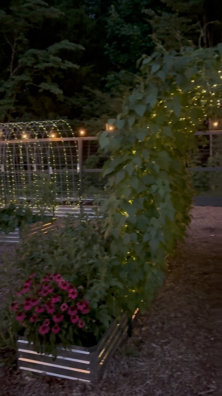LIFE IS GOOD with twinkle lights in the garden!!🪴✨

Best thing I ever added to my garden. 
Can’t wait for another summer of walking under my trellis twinkling lights. 🥰
Follow me for more good life in the garden!

P.S. Those are white half runner green tree beans growing on my trellis. Linked below  

.
#TrellisLights #GardenLights #GardenInspiration #GardenTips #DreamGarden

#LTKSeasonal