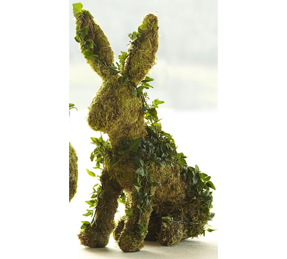 Fresh Ivy Bunny Topiaries | Pottery Barn (US)
